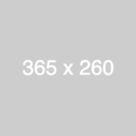 365x260.png